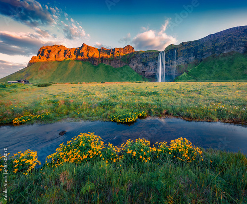 Calm morning view of Seljalandfoss Waterfall. Wonderful outdoor scene of Seljalandsa rive. Spectacular summer morning in Iceland, Europe. Beauty of nature concept background..