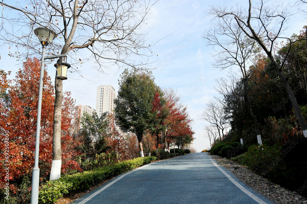 autumn in the city autumn in the city