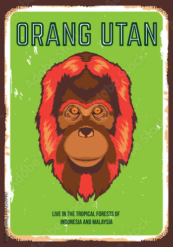 Caracal face vector iilustration in poster vintage style, perfect for tshirt design and wall decor