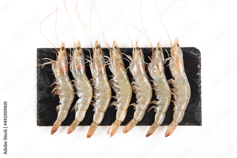 fresh raw white shrimps or prawns isolated on white background fresh raw white shrimps or prawns isolated on white background