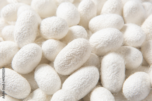 close up of natural silkworm cocoons texture background photo