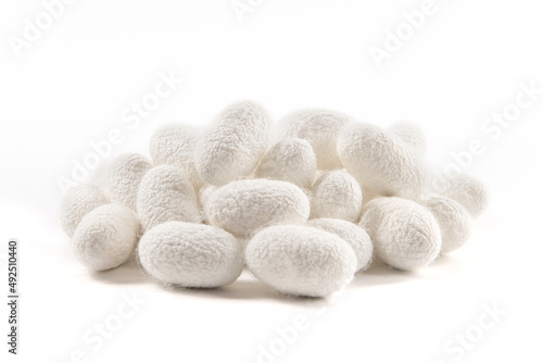 The silkworm cocoon isolated on white background