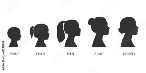 The stages of a woman's growing up - infant, child, teen, adult, elderly. Collection of silhouettes of women of different ages. Vector illustration isolated on white background