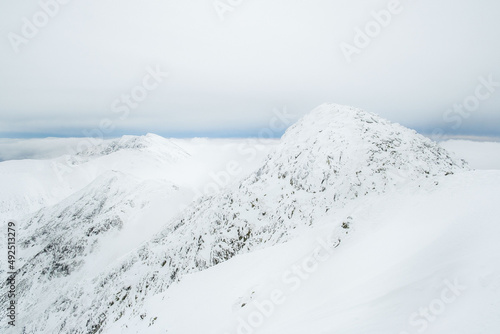 landscape panoramic view of snowed winter tatra mountains © phpetrunina14