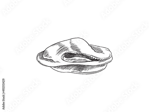 Mussels mollusc or clam without shells engraving vector illustration isolated.
