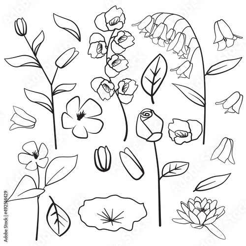 Lotus Periwinkle Rose Orchid Common Bluebell Leaf Flower Floral Silhouette Outline Line Element