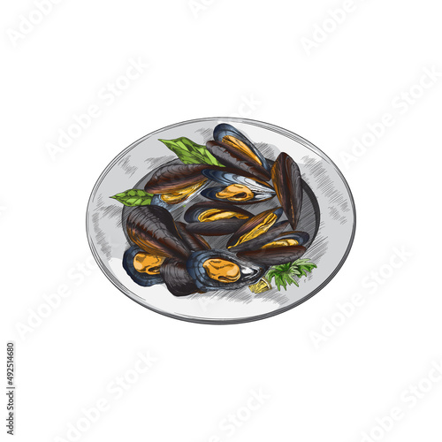 Mussel clam in shells on plate vintage engraving vector illustration isolated.