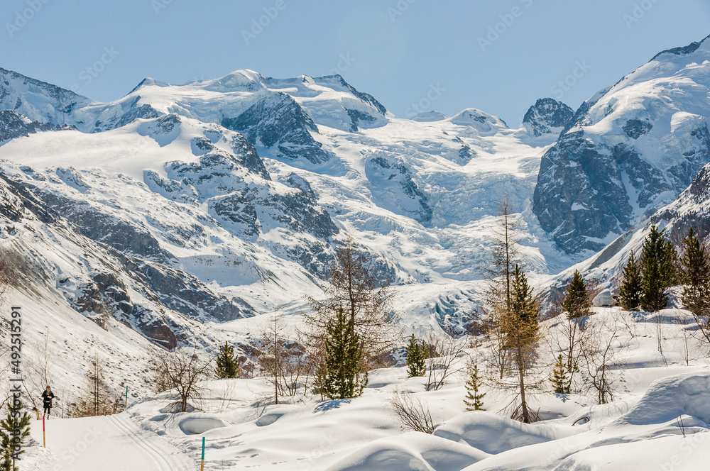 Morteratsch, Morteratschgletscher, Gletscher, Gletscherpfad, Gletscherweg, Piz Bernina, Bellavista, Bernina, Berninapass, Engadin, Alpen, Graubünden, Winter, Winterwanderweg, Langlauf, Schweiz Morteratsch, Morteratschgletscher, Gletscher, Gletscherpfad, Gletscherweg, Piz Bernina, Bellavista, Bernina, Berninapass, Engadin, Alpen, Graubünden, Winter, Winterwanderweg, Langlauf, Schweiz