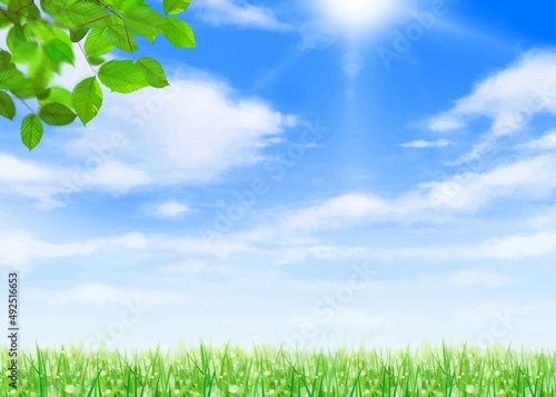 太陽の光が差し込む雲のある青空に芝生と新緑の美しい若葉の初夏フレーム背景素材