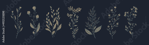 Large set of hand-drawn ornamental herbs on a black background. Botanical retro image for a floral background, vector illustration. Design element for postcard, poster, cover, invitation.