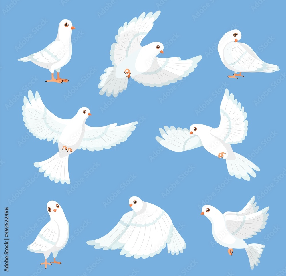 Cartoon white dove. Peace and freedom symbol pigeon, different poses, flying and walking cute birds, city fauna, hope and love, drawing funny urban characters, vector isolated set Cartoon white dove. Peace and freedom symbol pigeon, different poses, flying and walking cute birds, city fauna, hope and love, drawing funny urban characters, vector isolated set