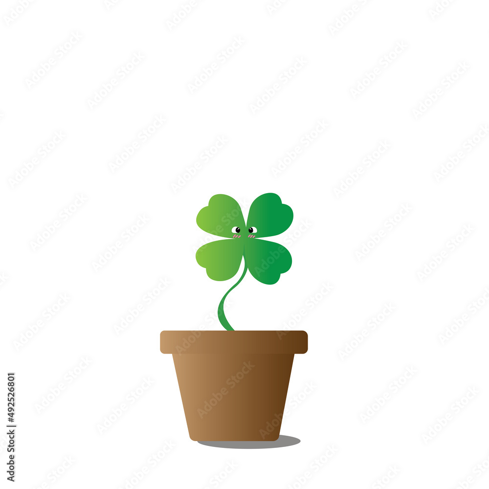 lovely bright clover in clay pots on a beautiful day lovely bright clover in clay pots on a beautiful day