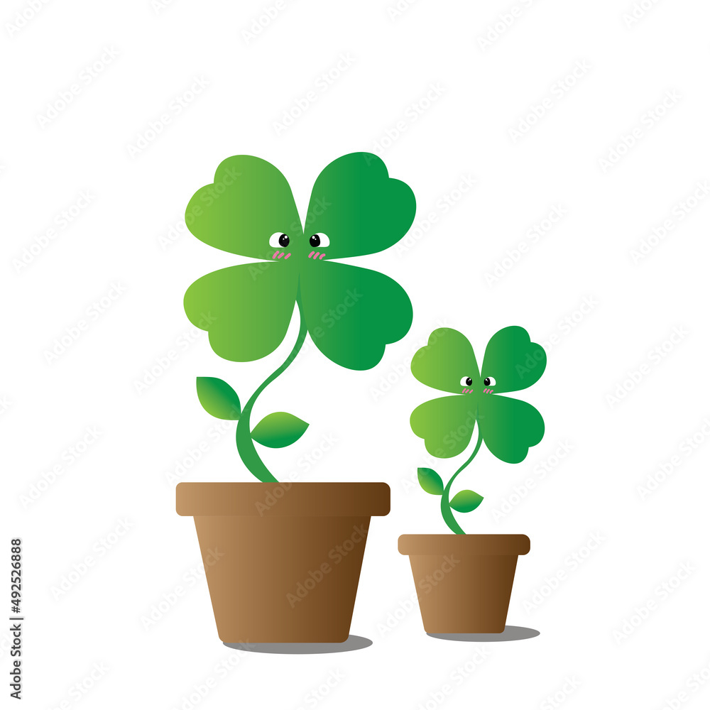 lovely bright clover in clay pots on a beautiful day lovely bright clover in clay pots on a beautiful day