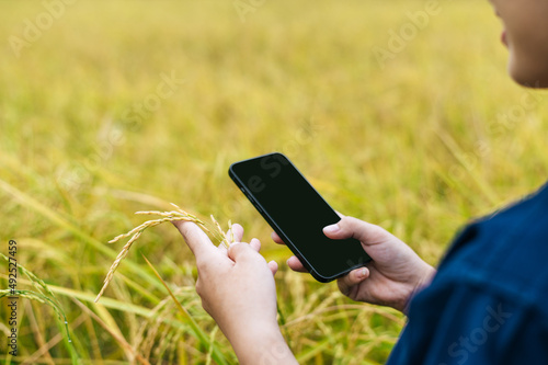 Young farmer woman use smartphone in rice field