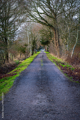 path in the park