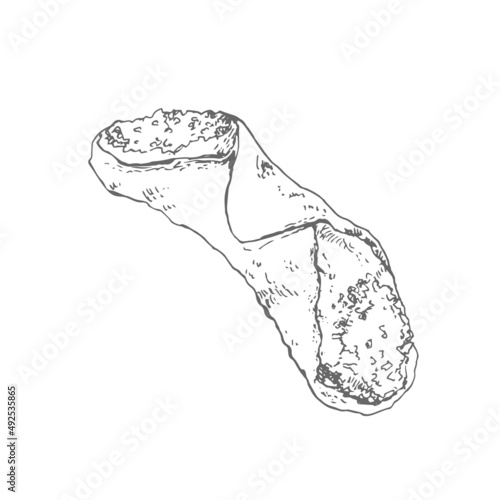 Hand drawn vector sicily cannoli illustration pastry