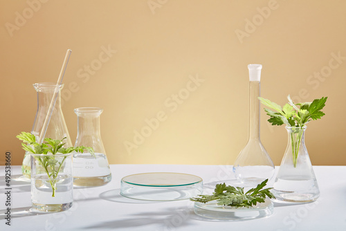 Mugwort decorated with transparent podium and beaker test tube in orange background with blank space for mugwort experiment advertising photo