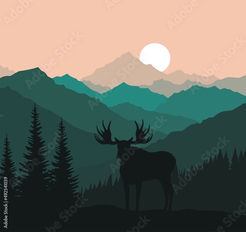 Moose in the mountains