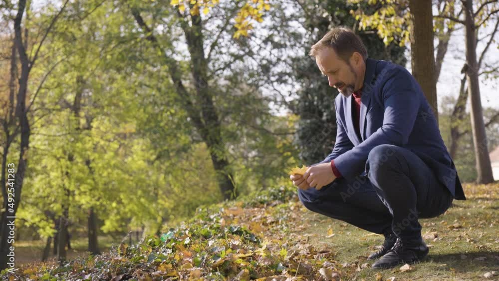 A middle-aged handsome Caucasian man picks up a leaf, examines it, and looks around in a park in fall