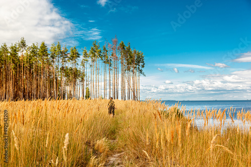 Fototapeta Naklejka Na Ścianę i Meble -  beautiful girl in a field on the shore of the sea and blue sky with clouds