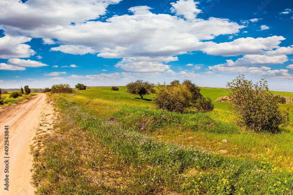 Obraz premium Wide dirt road