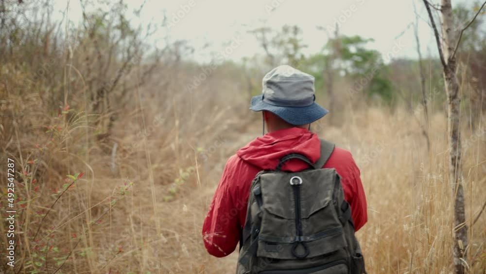 Man traveler with backpack hiking walking in forest at autumn vacations outdoor tracking shot from behind. Tourist walks on adventure trip in natural at holidays. Travel lifestyle concept Man traveler with backpack hiking walking in forest at autumn vacations outdoor tracking shot from behind. Tourist walks on adventure trip in natural at holidays. Travel lifestyle concept