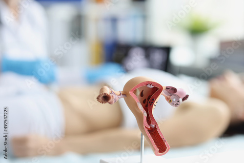Anatomical model of womans uterus and ovaries, woman on ultrasound scanning photo