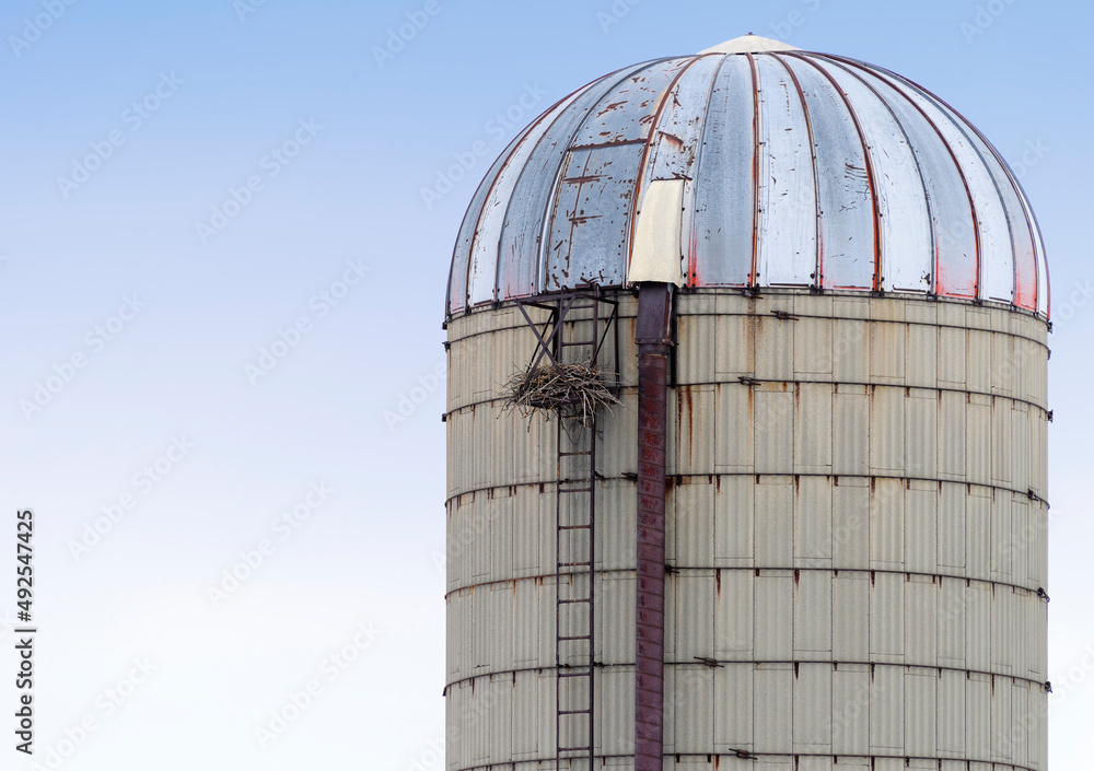Raven's nest on a silo