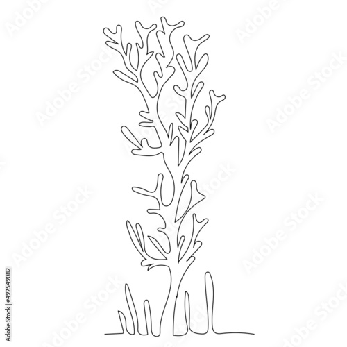 algae drawing in one continuous line, isolated