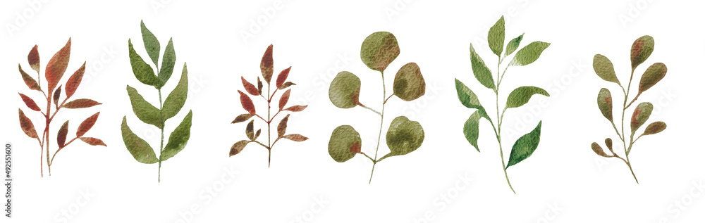 Set of watercolor design elements of the garden rose collection dark blue flowers, leaves, green branches, botanical illustration, isolated on a transparent background Set of watercolor design elements of the garden rose collection dark blue flowers, leaves, green branches, botanical illustration, isolated on a transparent background