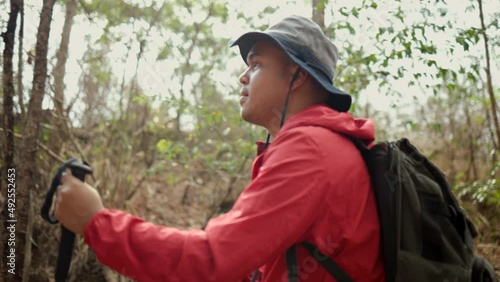 Wallpaper Mural Man traveler with backpack hiking walking in forest at autumn vacations outdoor side view shot. Tourist walks on adventure trip in natural at holidays. Travel lifestyle concept Torontodigital.ca