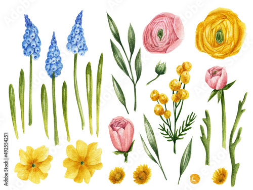 Wallpaper Mural Spring flowers watercolor clipart Torontodigital.ca