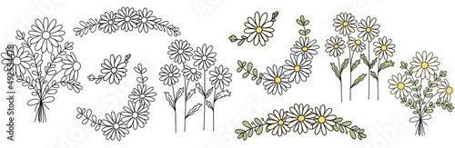 Vector hand drawn collection of daisy flower