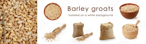 Barley groats isolated on a white background. Set of various compositions in one panorama image. High quality photo