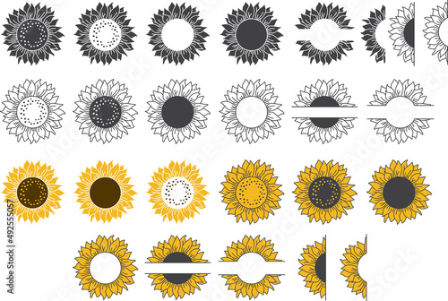 Vector bundle of sunflowers. Monogram, border, frame