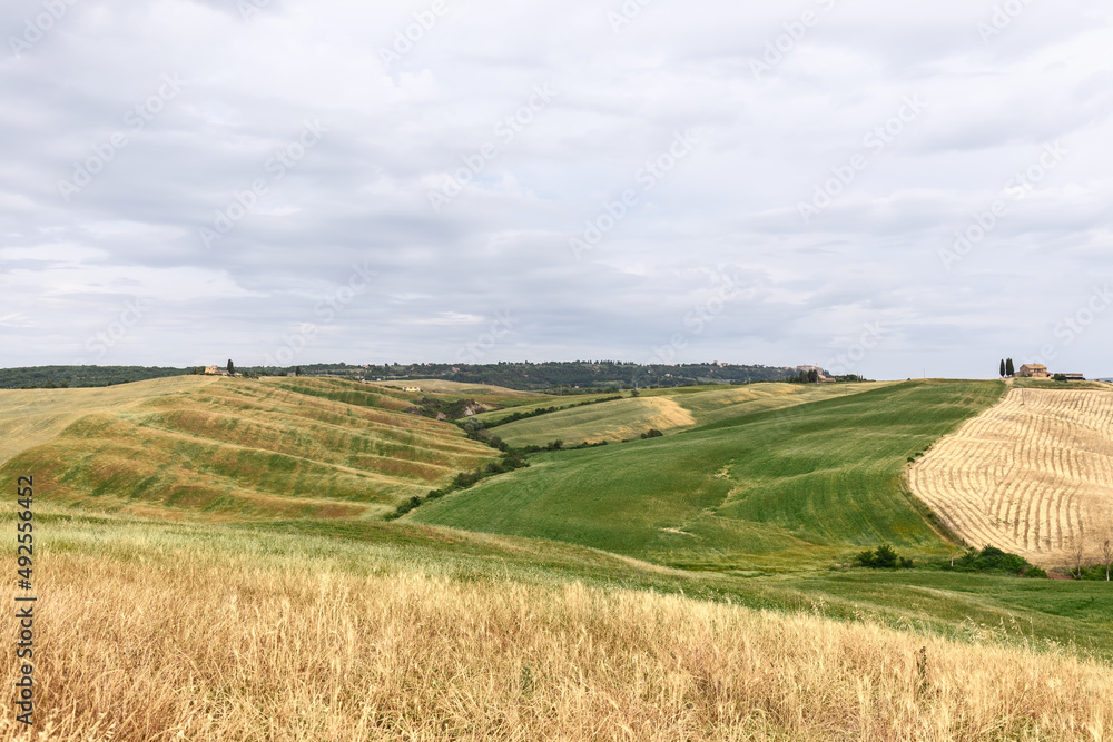 Tuscany rolling hills with cultivated meadows and lone farms in Val d'Orcia, Italy