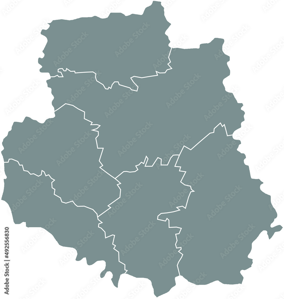 Gray flat blank vector map of raion areas of the  Ukrainian administrative area of VINNYTSIA OBLAST, UKRAINE with white  border lines of its raions