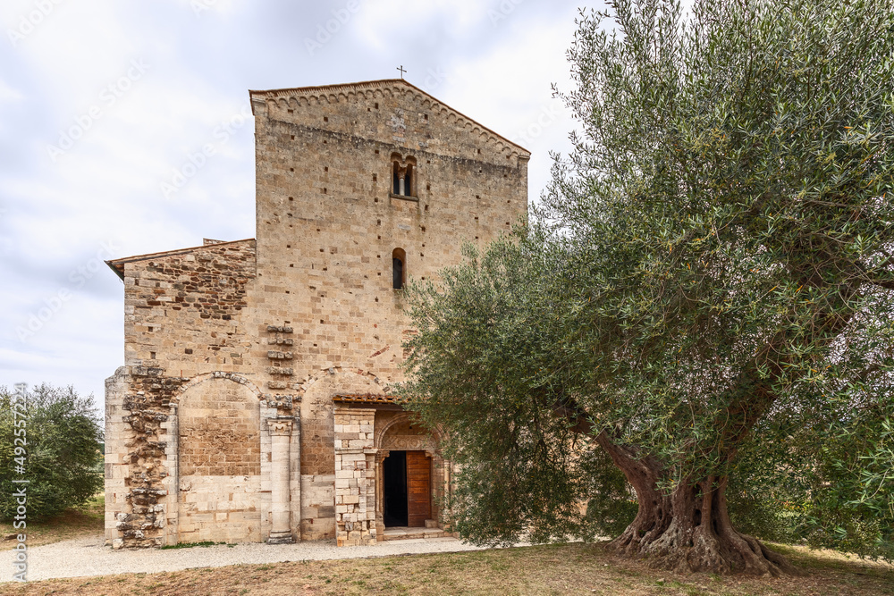 Main entrance to the Abbey Sant Antimo (Abbazia di Sant'Antimo) with an open massive wooden door and giant olive tree in front. Tuscany, Italy