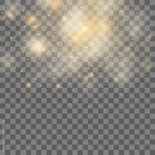 The effect of silver and gold dust and sparkles, a flying bright flash on a transparent background. bokeh effect