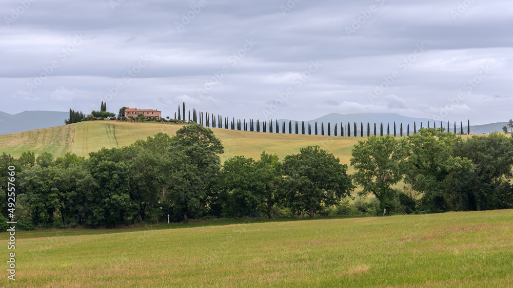 Country road with cypresses leads up the hill to a farmhouse with a green garden in Tuscany, Italy Country road with cypresses leads up the hill to a farmhouse with a green garden in Tuscany, Italy