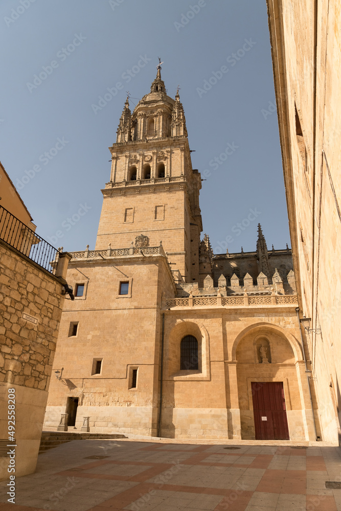 New Cathedral of Salamanca in the old town in a sunny day, Castilla y Leon, Spain.