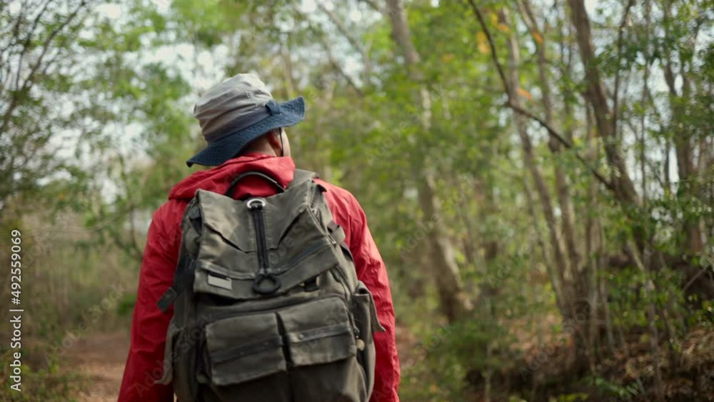 Man traveler with backpack hiking walking in forest at autumn vacations outdoor tracking shot from behind. Tourist walks on adventure trip in natural at holidays. Travel lifestyle concept Man traveler with backpack hiking walking in forest at autumn vacations outdoor tracking shot from behind. Tourist walks on adventure trip in natural at holidays. Travel lifestyle concept