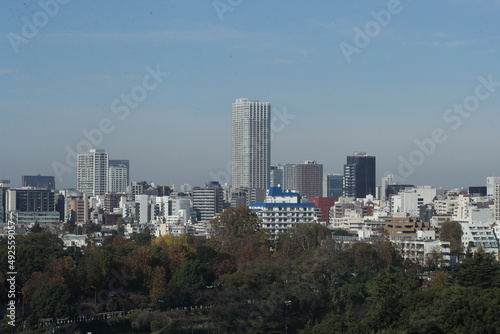 la foret entour la belle ville de Tokyo