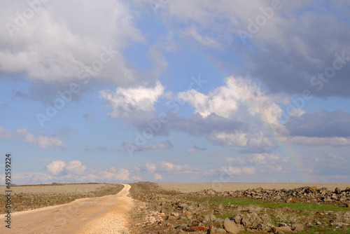 rainbow with cloud and fields