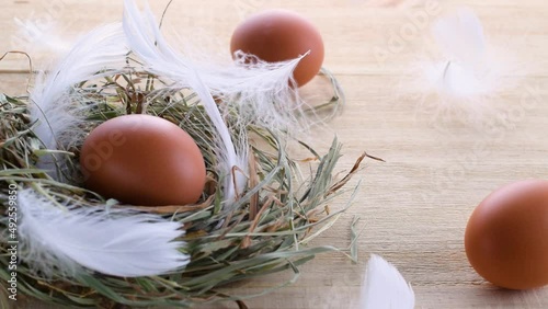 Easter eggs nature. Natural colour egg in basket with spring tulips, white feathers on wooden table background in Happy Easter decoration. Congratulatory easter design
