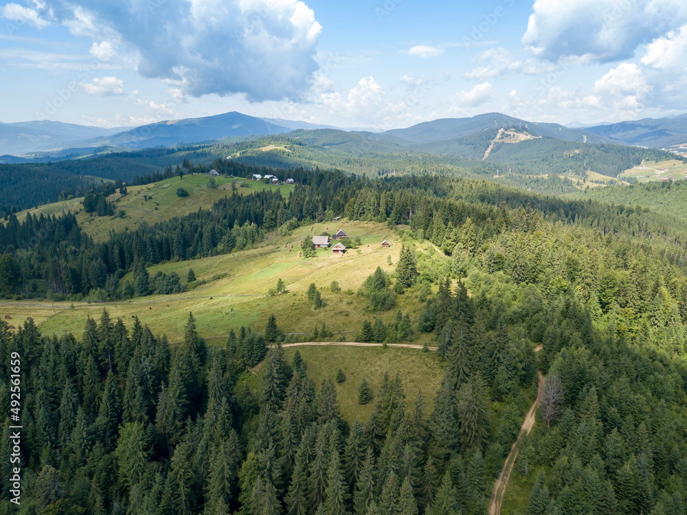 Naklejka premium Green mountains of Ukrainian Carpathians in summer. Sunny day. Aerial drone view.