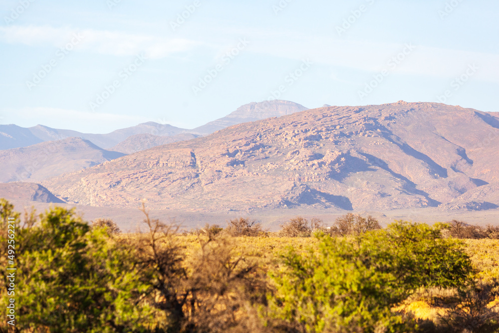 The dry and arid landscape of the Karoo with the Koue bokkeveld mutain range in the background.