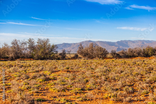 Canvas Print The dry and arid landscape of the Karoo.