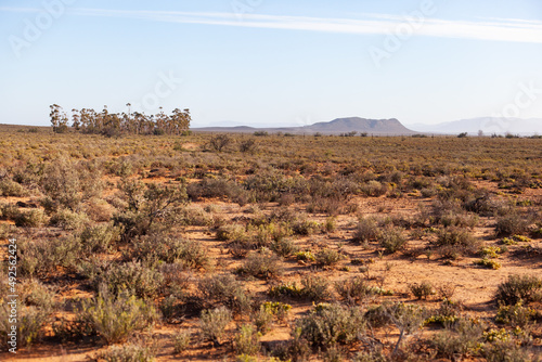 Photo The dry and arid landscape of the Karoo.