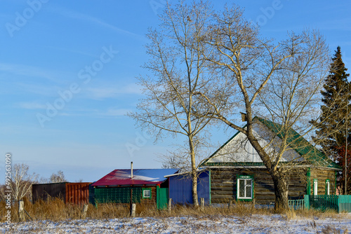 Winter rural landscape. A beautiful rural house with tall trees growing nearby © Ольга Золотарева